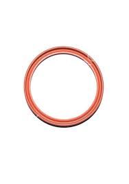 OEM 7703065106-ORİNG CONTA R25-FLUENCE