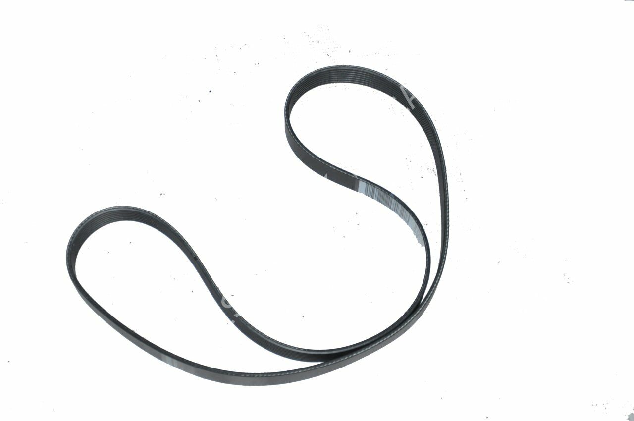 OEM 117207775R-AKSESUAR KAYIŞI 7PK1334