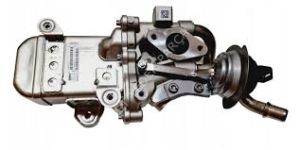 OE 147351881R-EGR SOGUTUCU MASTER III