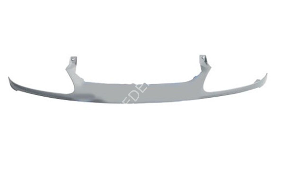 OEM 7701471338-ÖN PANJUR LGN FAZ 2