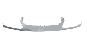 OEM 7701471338-ÖN PANJUR LGN FAZ 2