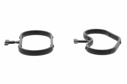 OE 213042726R-ORING CONTA
