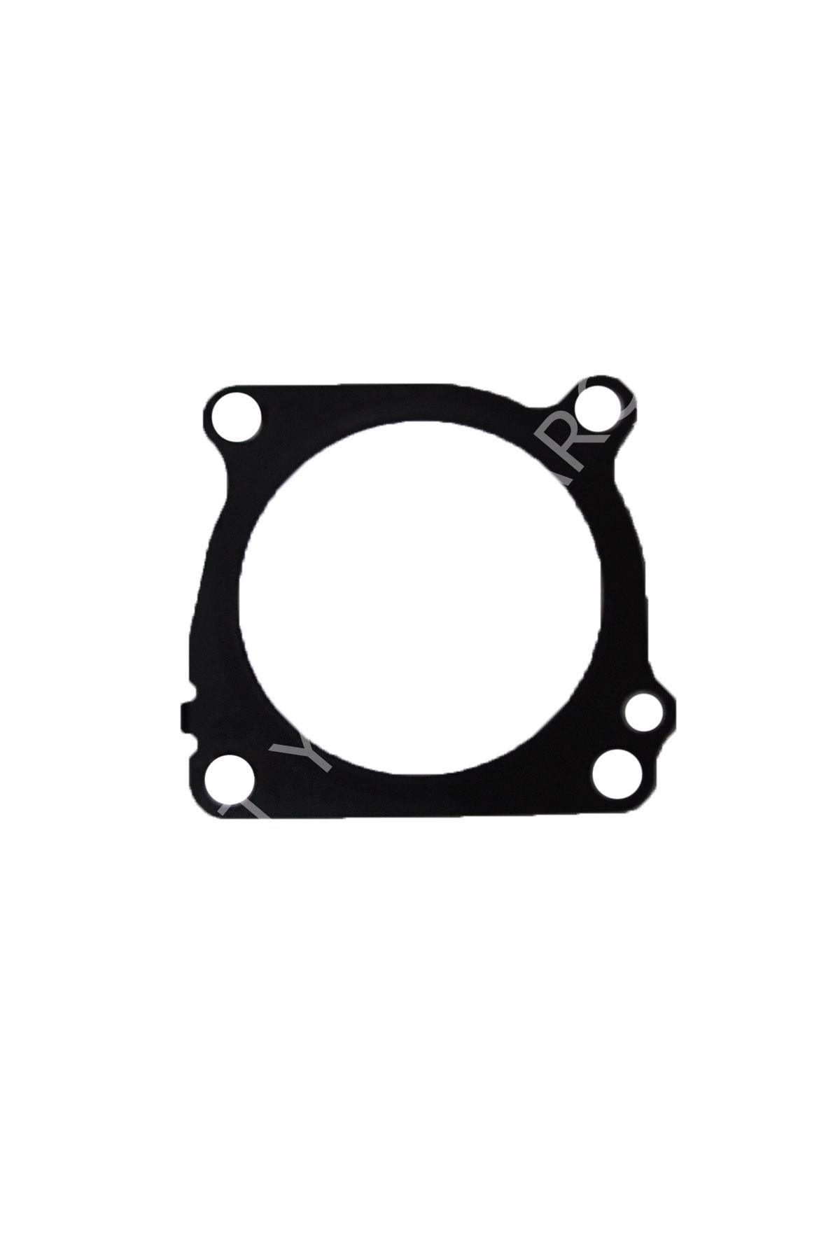 OE 161754296R-KELEBEK KUTU CONTASI