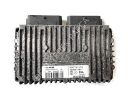 ENJEKSIYON BEYNI SAFRANE