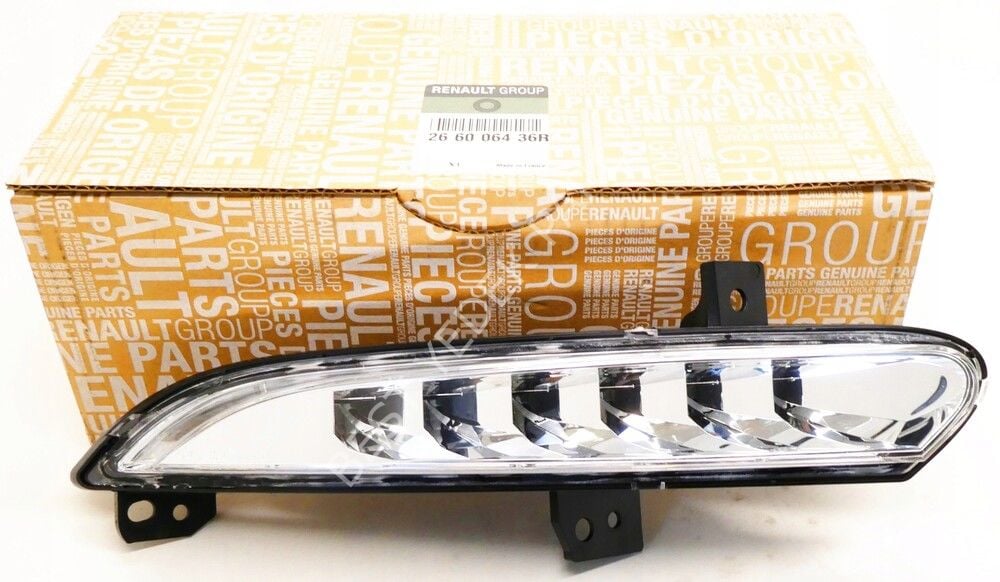 OE 266006436R-GÜNDÜZ FAR SAĞ SCENIC III