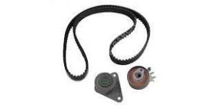 OE 7438610040-EGZANTRIK KAYIS KITI SAFRANE