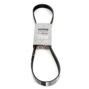 OEM 117205123R-AKSESUAR KAYIŞI