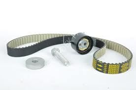 EGZANTRIK KAYISI K4M-K4J THALIA