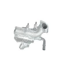 EGZOS GAZ AYAR VANASI MEGANE IV