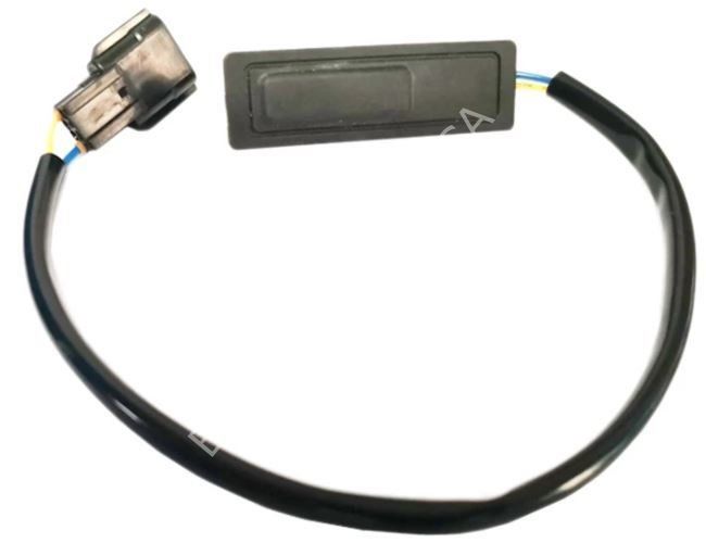 OEM 253804EA0A-BAGAJ AÇMA BUTONU